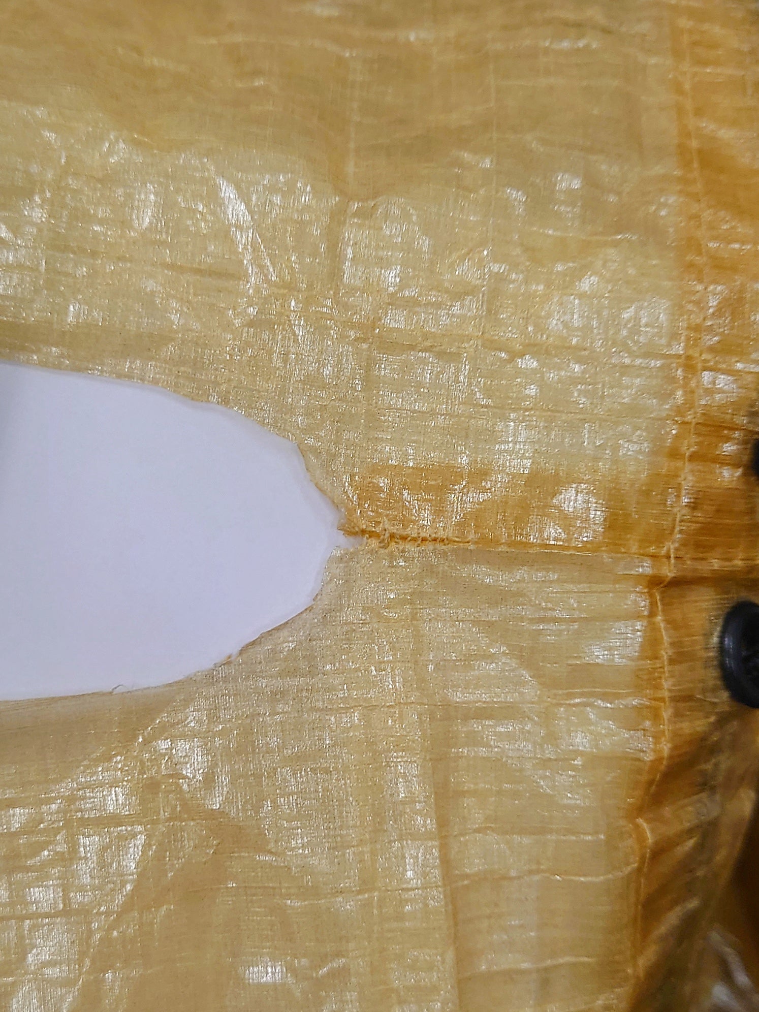 Sample Eternal Carrier FRITTTE / 125€